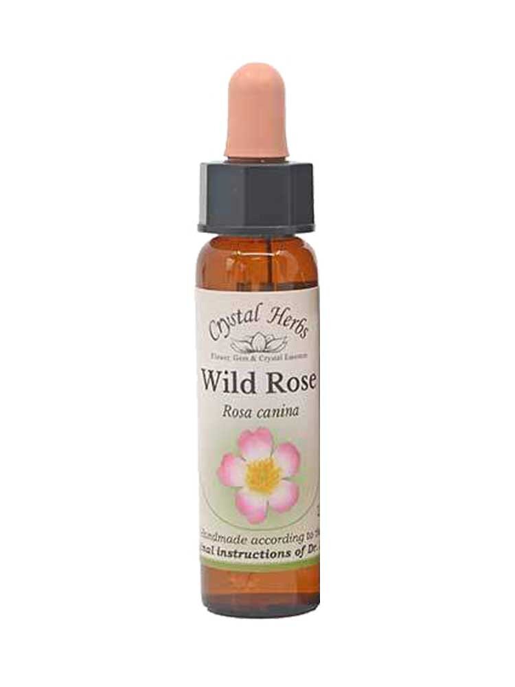 Αγριοτριανταφυλλιά (Wild rose) Bach flower 10ml Crystal herbs