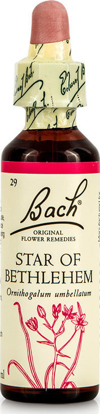 Αγριόκρινο (Star of Bethlehem) Bach Flower 20ml